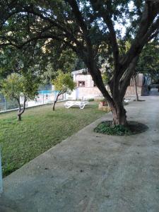 La Fuente De El Nacimiento