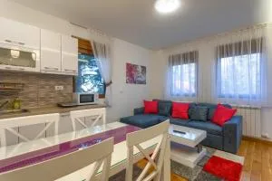 Apartman Gavrilov 3 - Ocka Gora