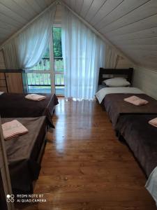 Кільце Карпат