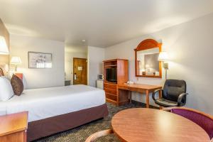 1 Queen Bed Non Smoking room in Americas Best Value Inn Burns