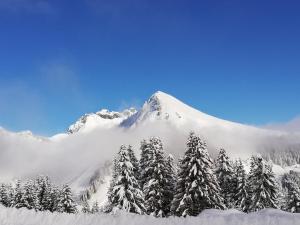 Studio au pied des pistes- Le Praz de Lys
