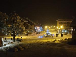 Appartements Les Lucioles : photos des chambres