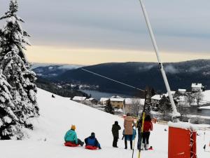 Chalets Chalet a L'Oree du Bois : photos des chambres