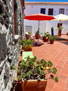 Quinta Perpetua, Casa Corvo