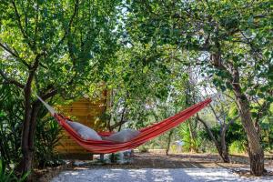 Nina-Myrtia Countryside House Skopelos Skopelos Greece