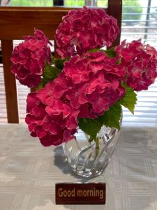 Thistle Do Bed and Breakfast