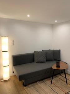 Appartements Loft Luxe La Plaine : photos des chambres