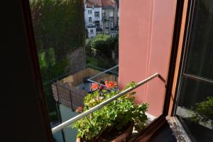 Villa des Roses Voltaire