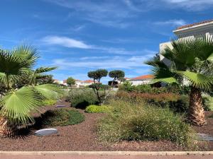 Juan Flore: Calme absolu à 100m de la plage