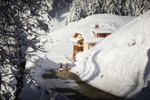 Sotciastel Exclusive Chalet in Alta Badia