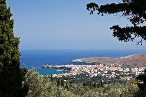 Traditional Pigeon House with Private Pool Andros Greece