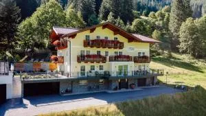 4 Mountains Apartments - Mitterkleinarl