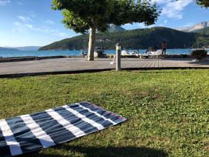 Appartements Logement atypique avec vue unique panoramique sur le lac d’Annecy, dans une residence avec plage et ponton privee sur la commune de Duingt (Rive gauche du lac). : photos des chambres