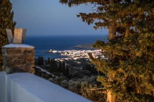 Traditional Pigeon House with Private Pool Andros Greece