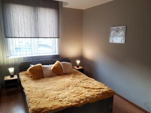 Apartament komfortowy Levino