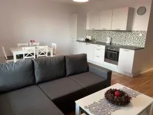 Apartament Wiewiórka - Rudno