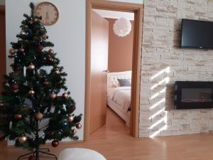 Apartman Teodora