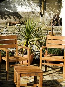 Maisons de vacances Maison pittoresque a Camaret sur Mer avec vue sur mer : photos des chambres