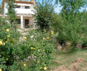Spacious House Zambra + Pool