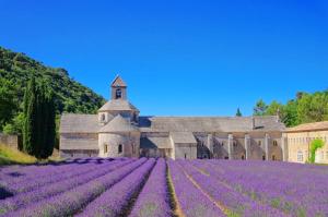 Maisons de vacances Maison chaleureuse a Orange avec piscine privee : photos des chambres