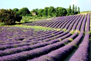 Maisons de vacances Maison chaleureuse a Orange avec piscine privee : photos des chambres