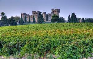 Maisons de vacances Maison chaleureuse a Orange avec piscine privee : photos des chambres