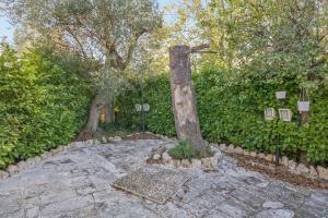 Charming house near Monopoli with terrace