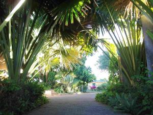 Charming apartment in Grande Gaube with shared pool