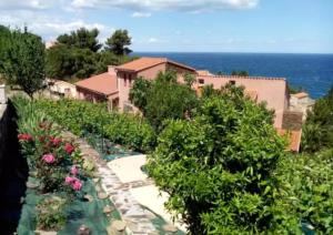 Appartements Studio a Collioure a 400 m de la plage avec vue sur la mer jardin clos et wifi : photos des chambres