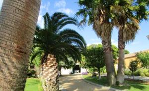Appartement élégant à Vias avec balcon et jardin