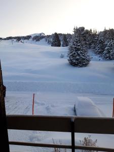 Appartements Studio a Chamrousse a 100 m des pistes avec balcon : photos des chambres