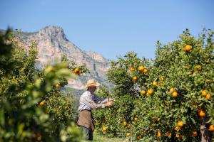 Agroktima Arkadia Greece
