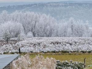 villa relax with swimming pool and mountain view