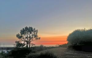 Appartements Appartement Figure de proue, pres Les Sables d Olonne, Talmont saint Hilaire : photos des chambres