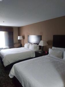 Queen Room with Two Queen Beds room in Holiday Inn Express Hotel & Suites Zanesville North an IHG Hotel