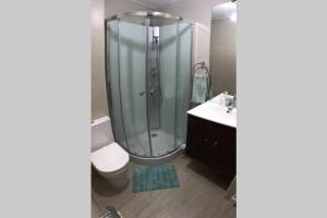 Camino al volcán vista al bosque