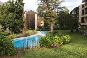 Camino al volcán vista al bosque