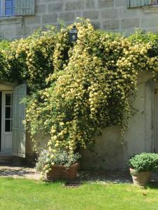 Maisons de vacances Maison de 3 chambres avec jardin clos et wifi a Marsillargues : photos des chambres