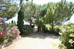 Maisons de vacances Maison de 3 chambres avec jardin clos et wifi a Marsillargues : photos des chambres