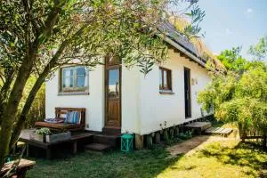 Azulado la Juanita Jose Ignacio - Jose Ignacio