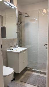 Comfort Plaza Residence Studio (Lujerului)