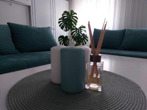 Cozy apartment in Kikinda