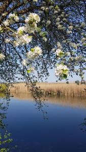Haus Blumenfeld-Schwaiger