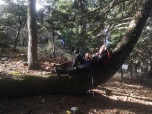 Chalet in the Forest Achaia Greece