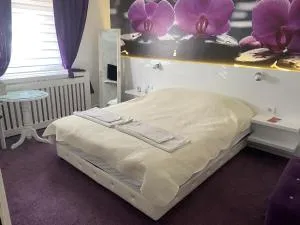 Vladana DELUXE App 2 - Varvarin