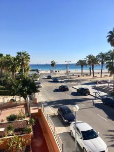 SUN and BEACH LOVERS 12019