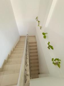 Votel Viure Hotel Jogjakarta