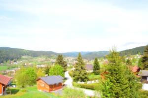 Chalets Chalet de 3 chambres avec jacuzzi jardin amenage et wifi a Xonrupt Longemer a 5 km des pistes : photos des chambres