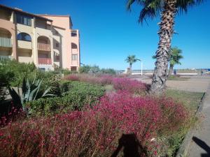 Appartements Appartement d'une chambre a Le Barcares a 50 m de la plage avec vue sur la mer et wifi : photos des chambres