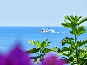 Maisons de vacances Maison de 2 chambres a Ville di Pietrabugno a 600 m de la plage avec vue sur la mer jardin clos et wifi : photos des chambres